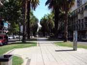 Boulevard Oroo (10,03 KB/99,68 KB)