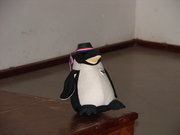 Tux shileno (6479 B/42,85 KB)